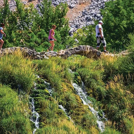 Lovely In With Wifi *