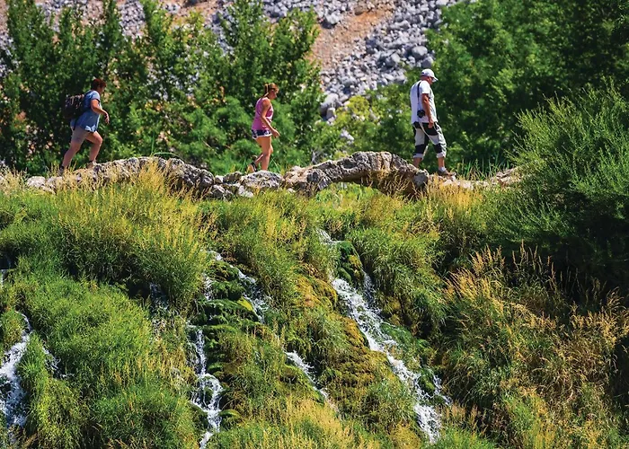 Lovely In With Wifi *